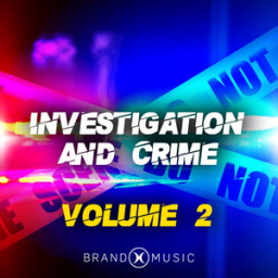 Investigation and Crime Volume 2