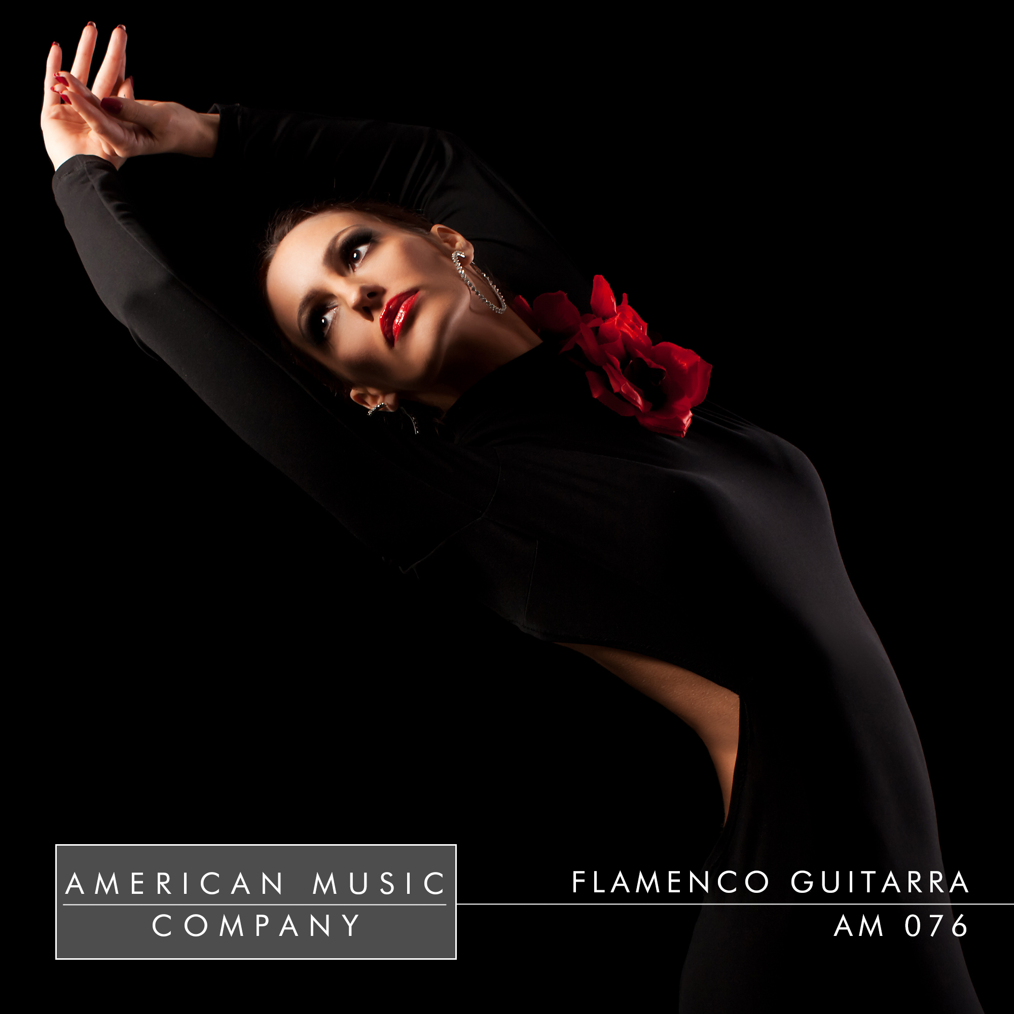 Flamenco Guitarra