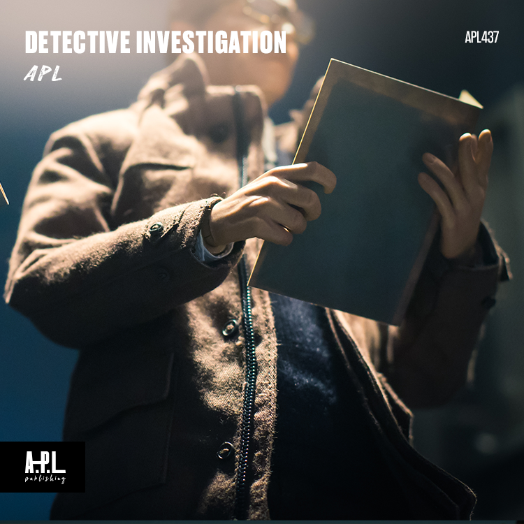 Detective Investigation