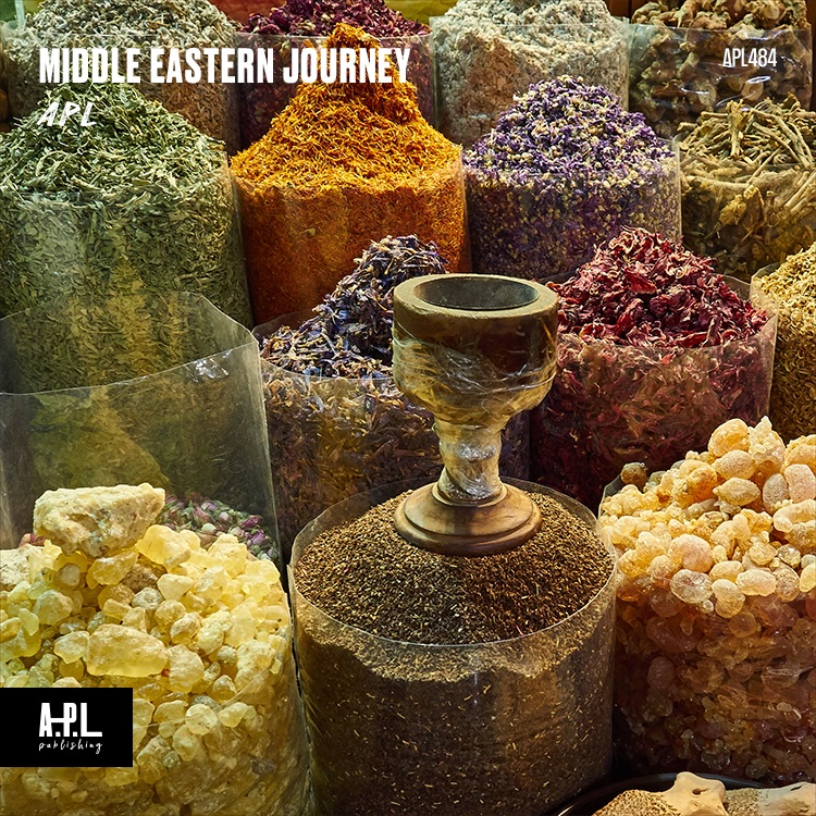 Middle Eastern Journey