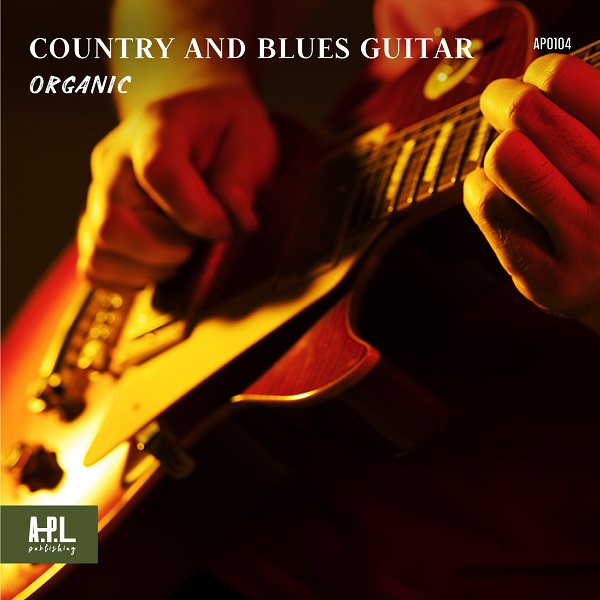 Country and Blues Guitar