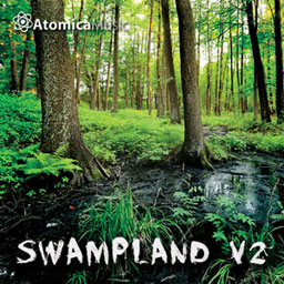 Swampland V2