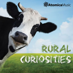 Rural Curiosities