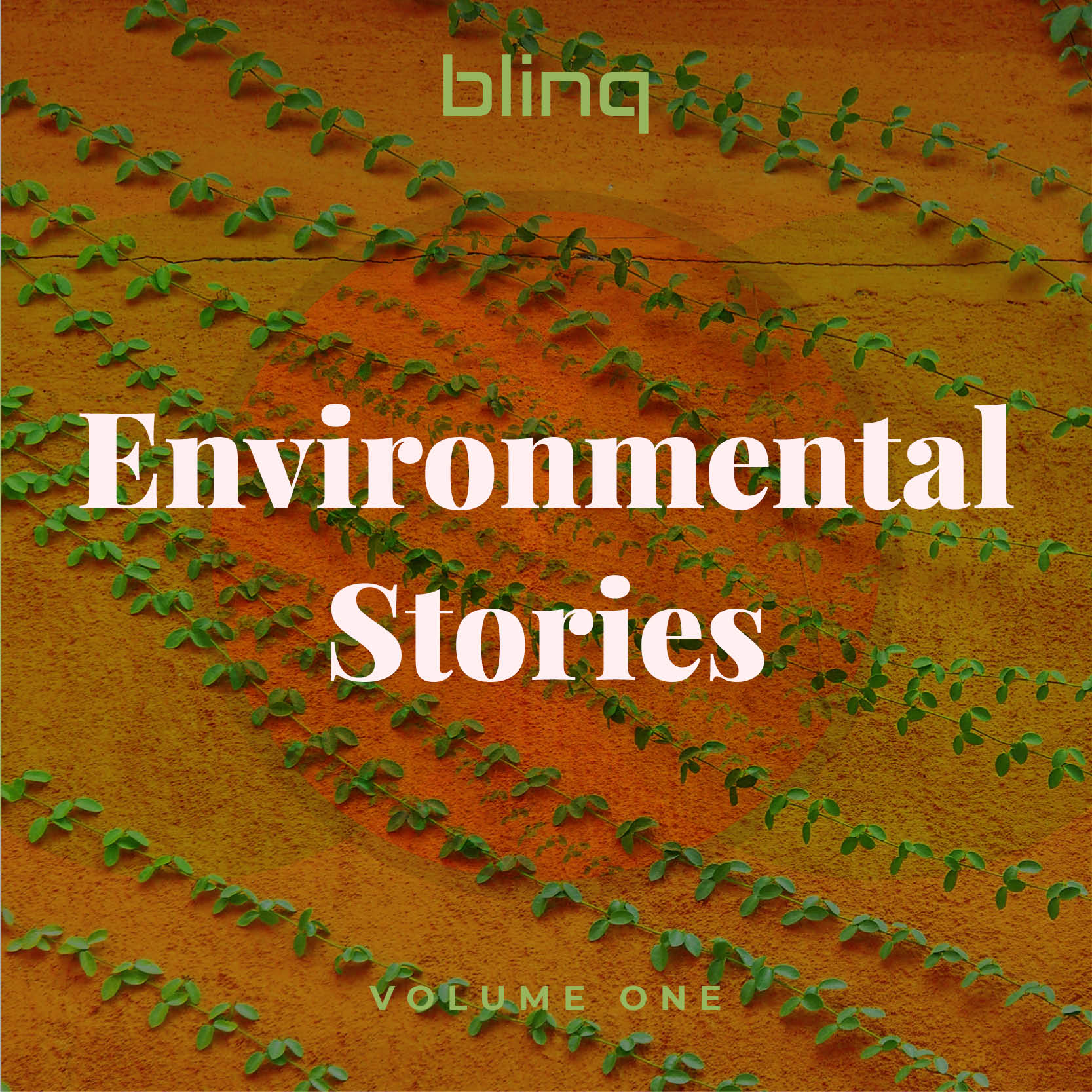 Environmental Stories