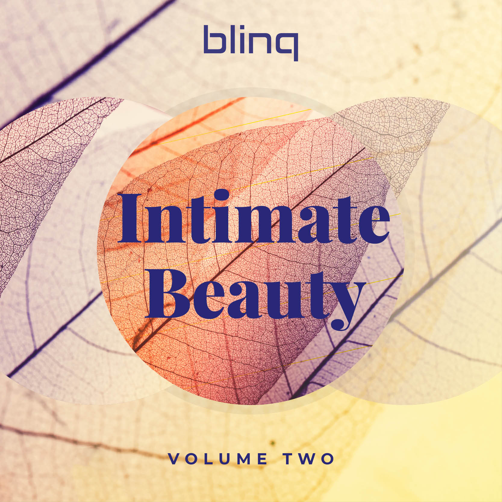 Intimate Beauty Vol. 2