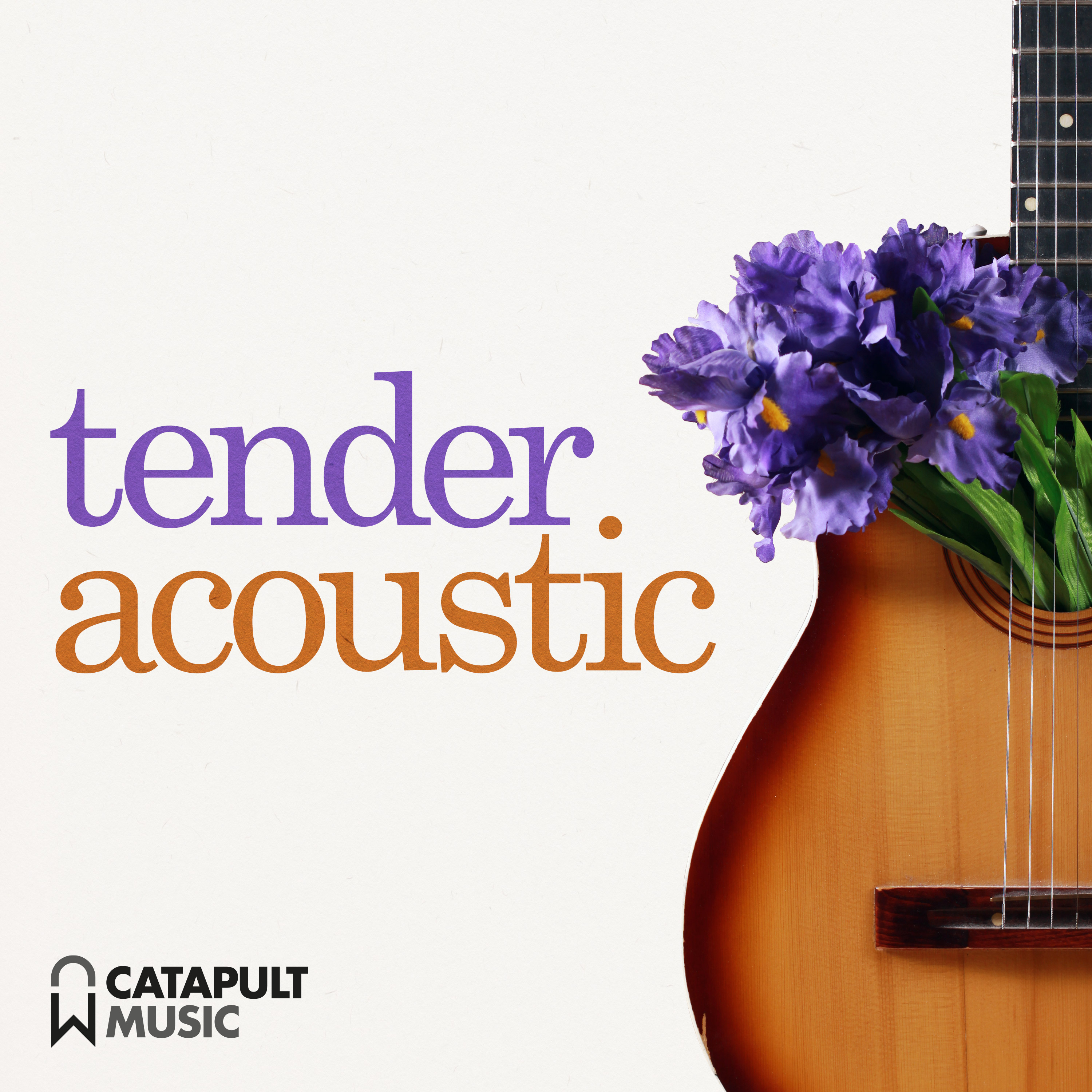 Tender Acoustic