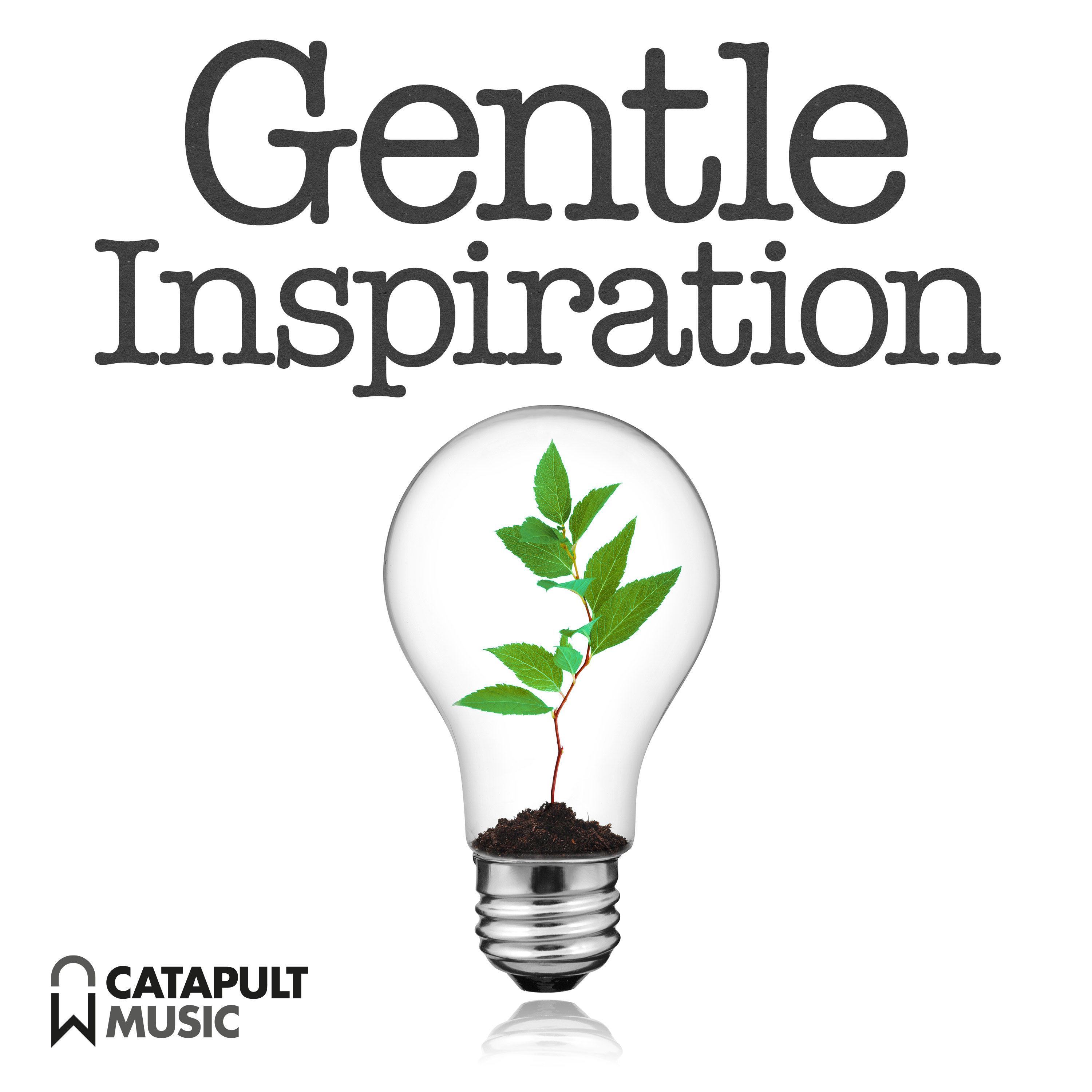Gentle Inspiration
