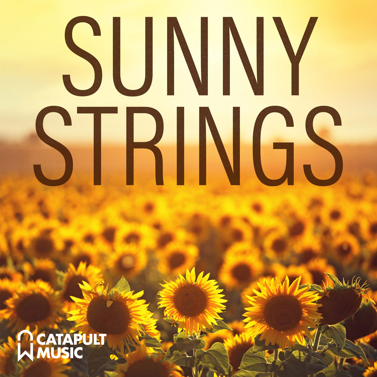 Sunny Strings