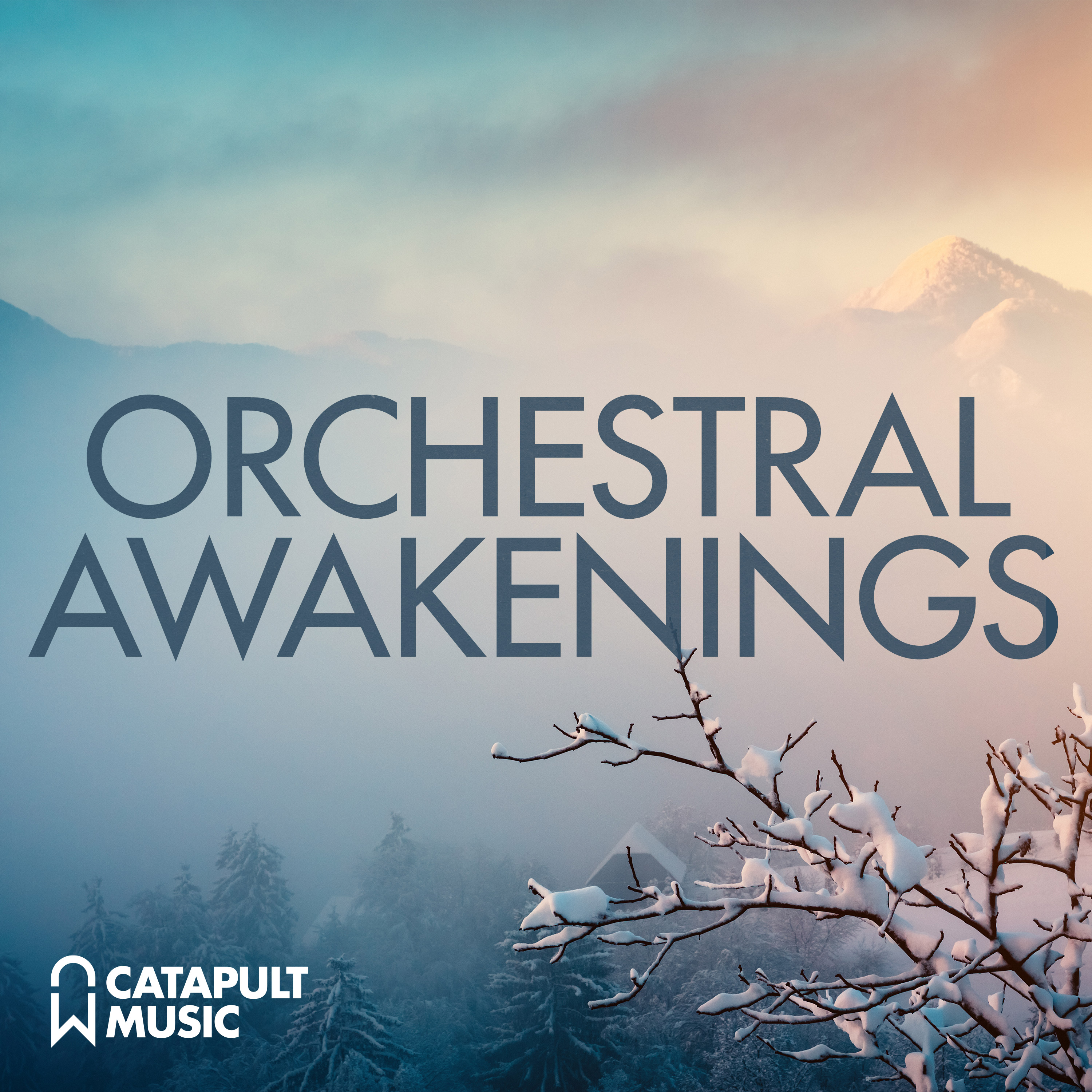 Orchestral Awakenings