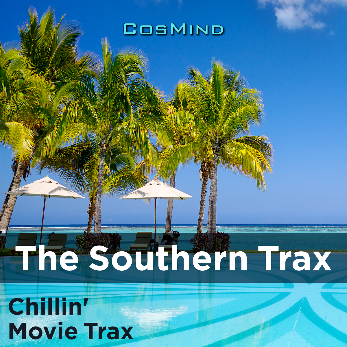 The Southern Trax (Chillin' Movie Trax)