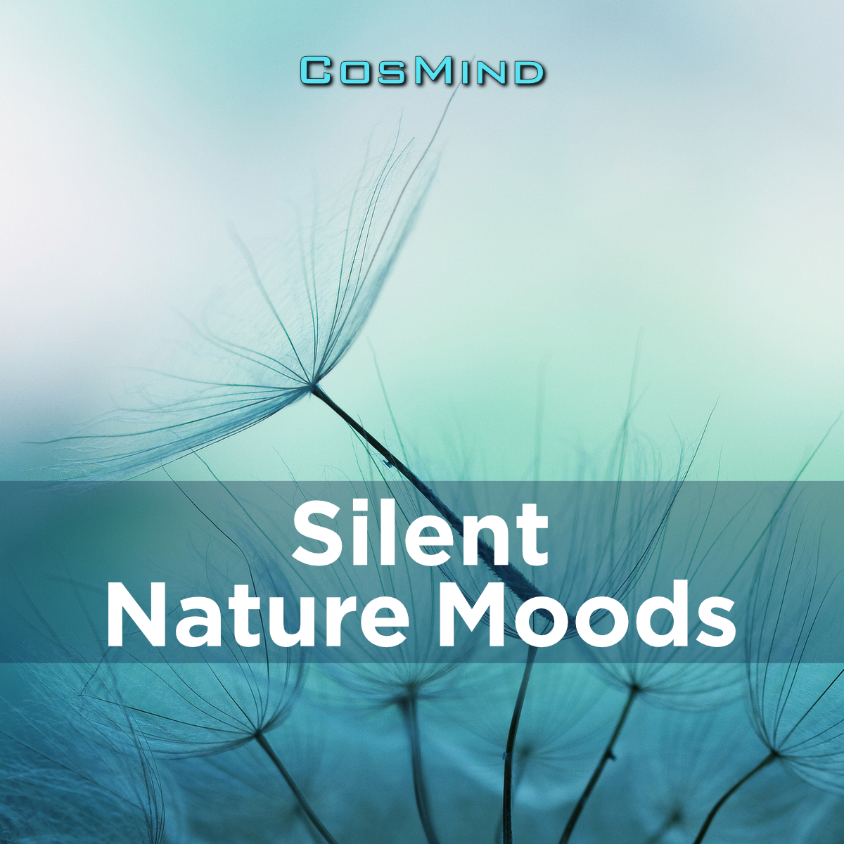 Silent Nature Moods 1