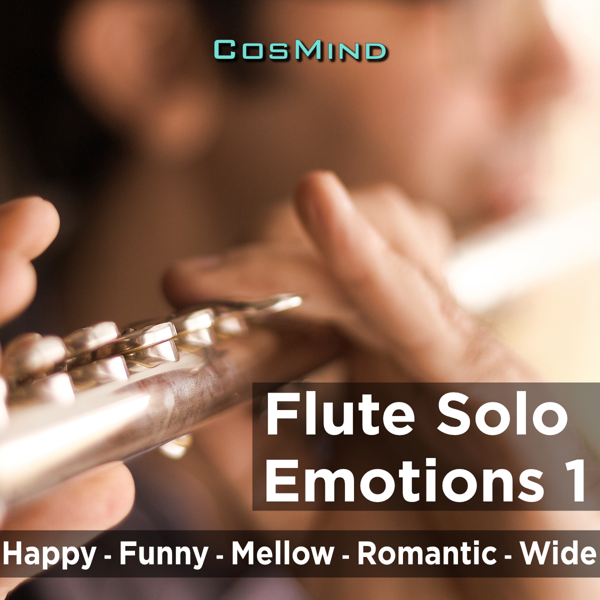 Flute-Solo Emotions (Vol.1)