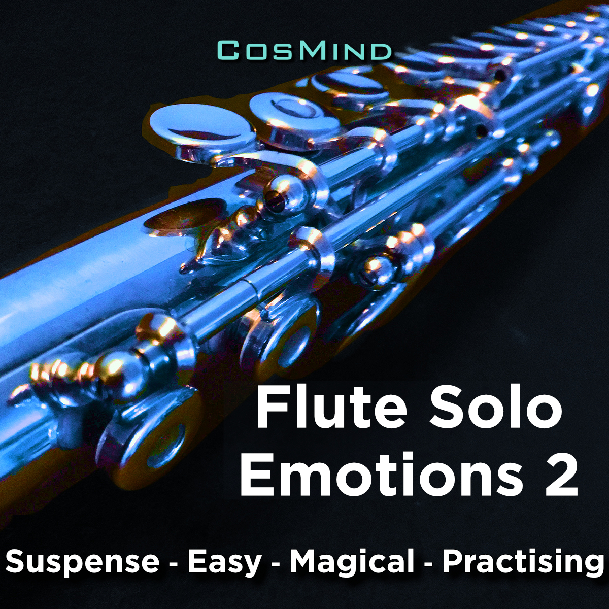 Flute-Solo Emotions (Vol.2)
