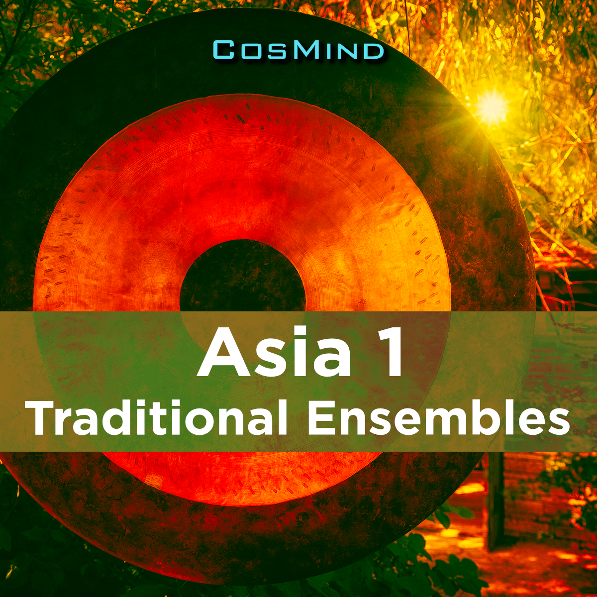 Asia 1 (Ensembles)