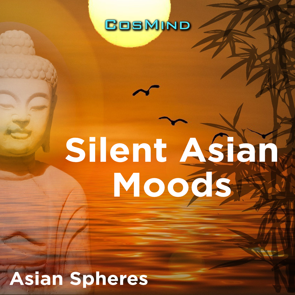 Asian Spheres (Silent Asian Moods)
