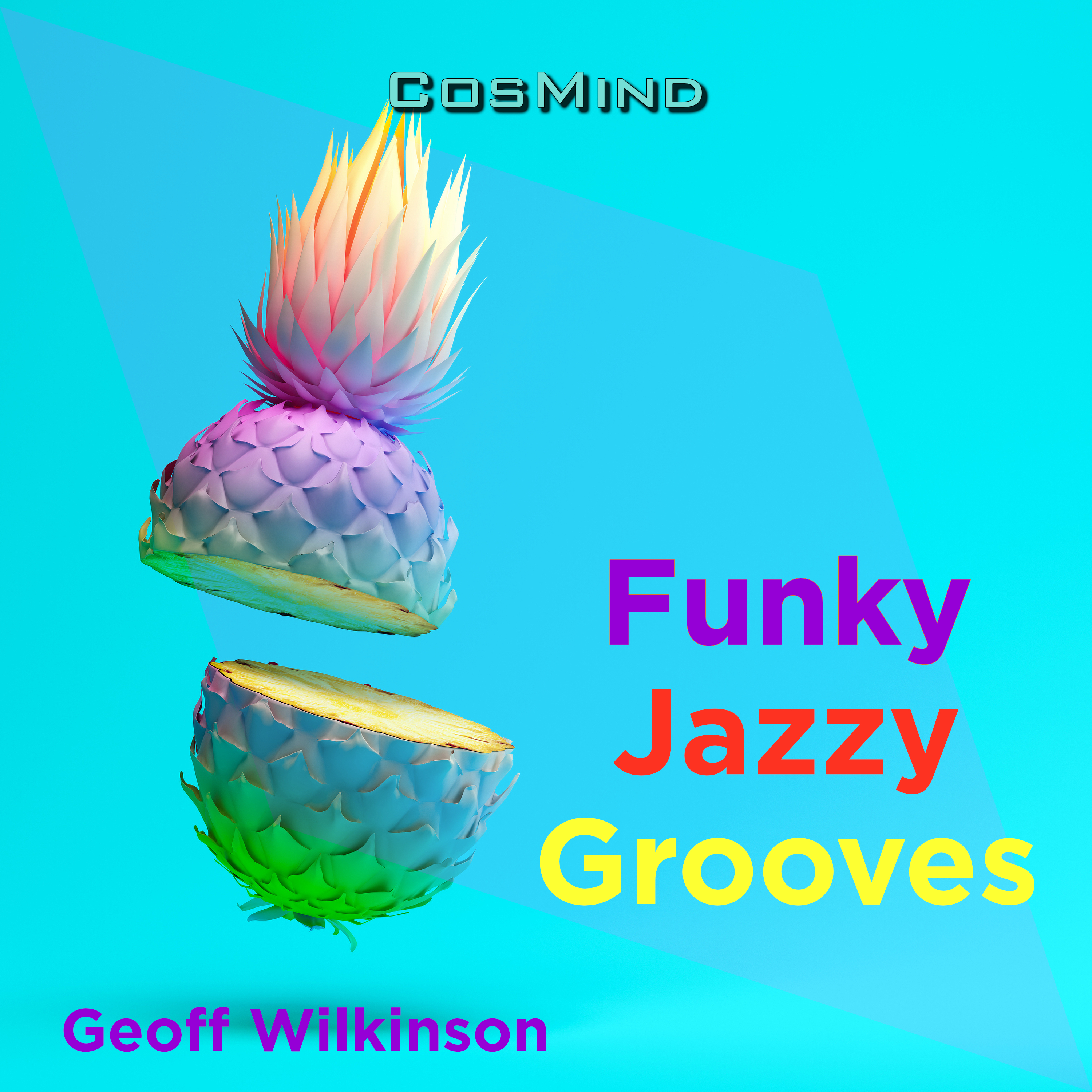 Funky Jazzy Grooves