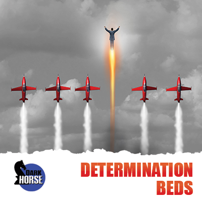 Determination Beds