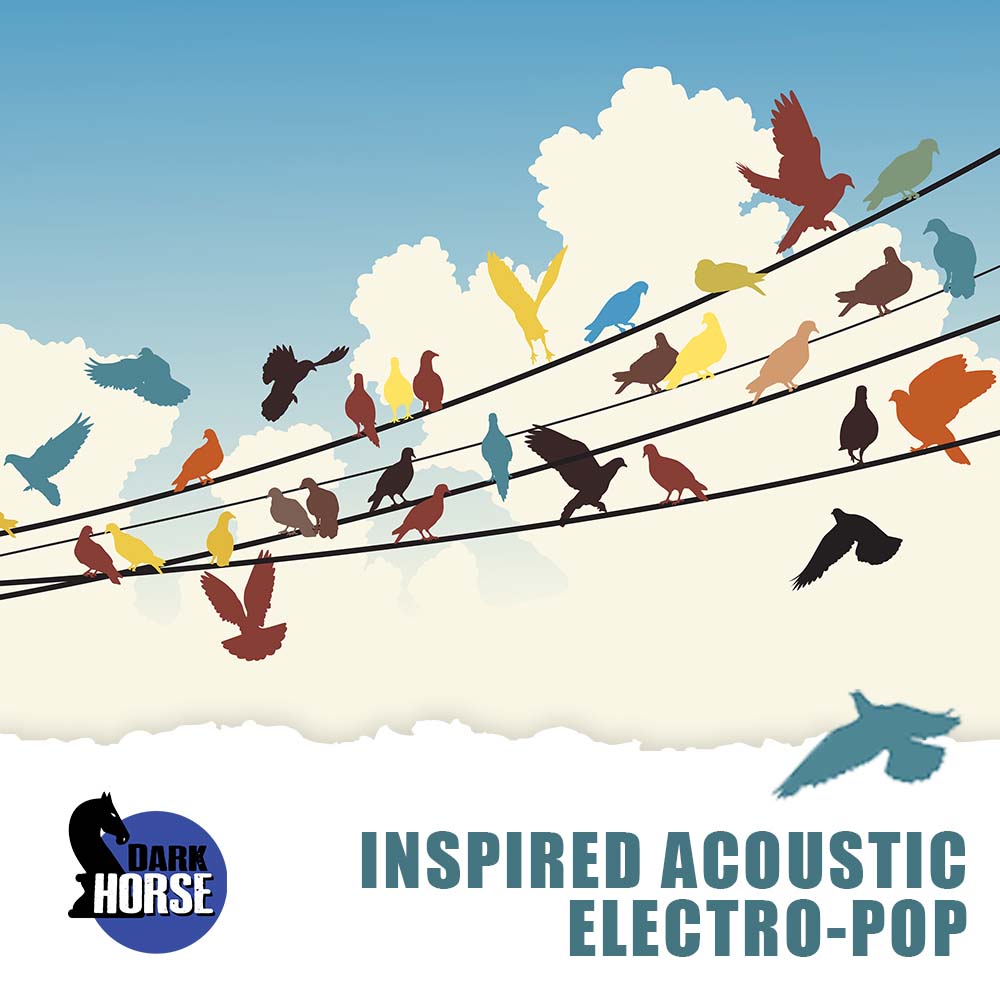 Inspired Acoustic-Electro Pop
