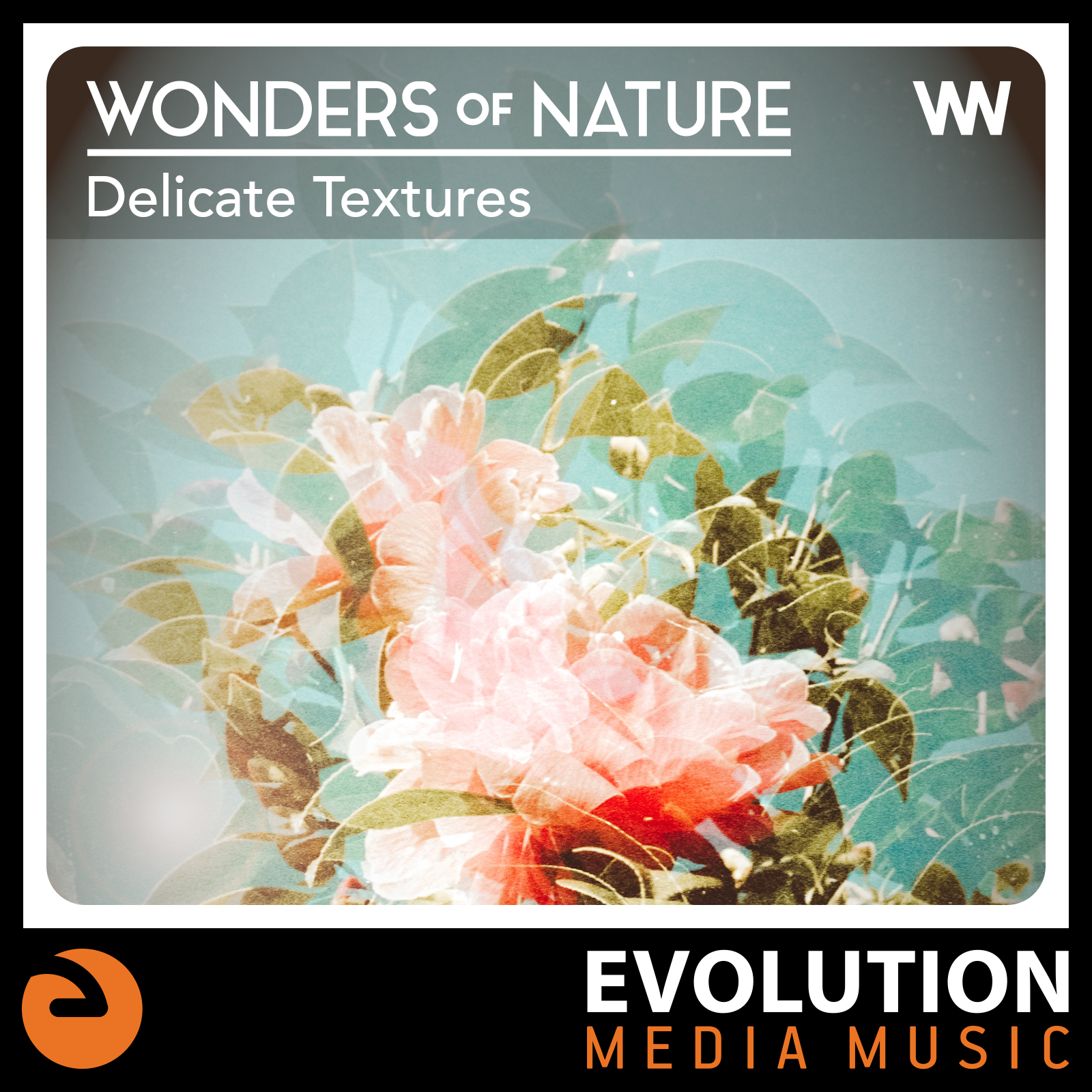 Wonders Of Nature: Delicate Textures