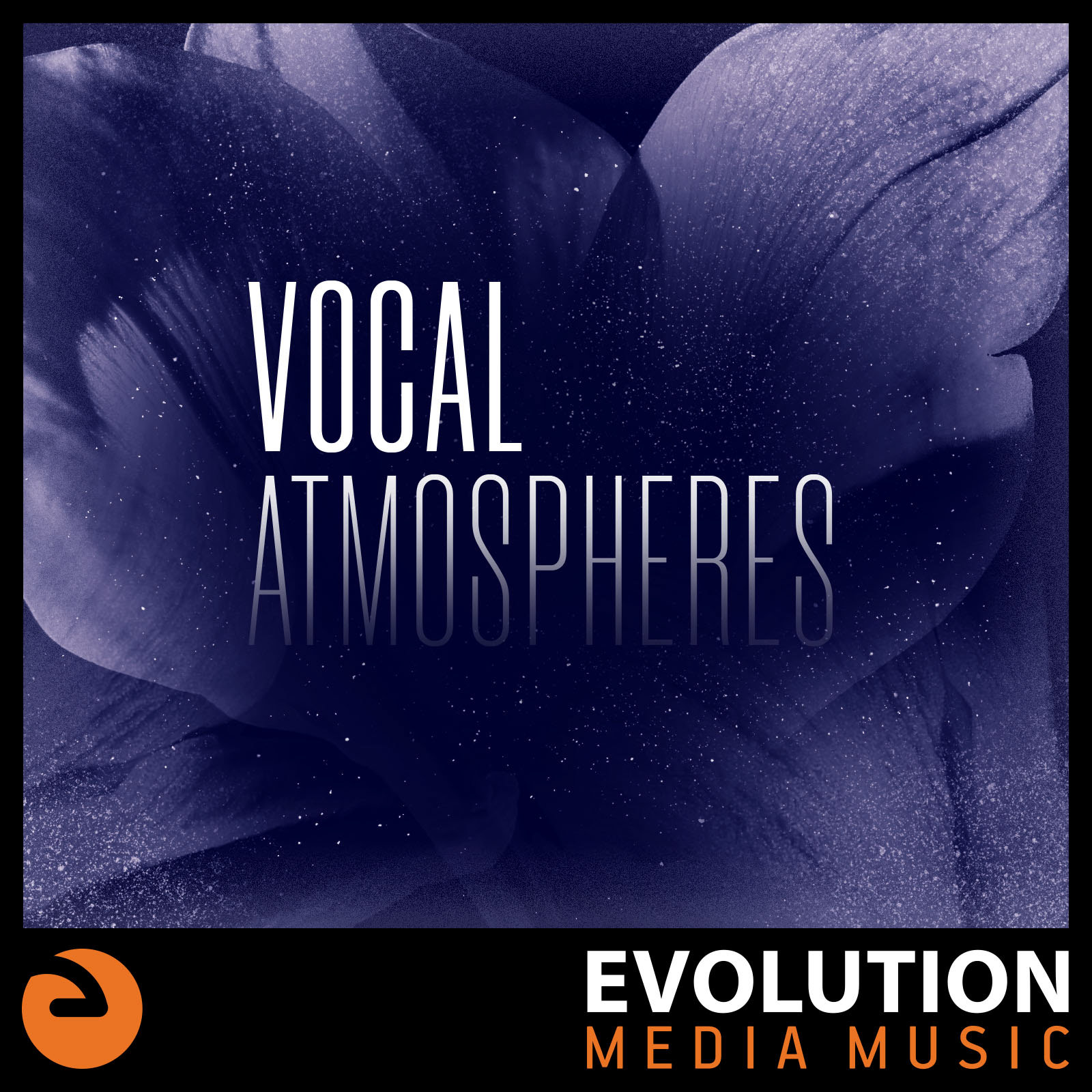 Vocal Atmospheres