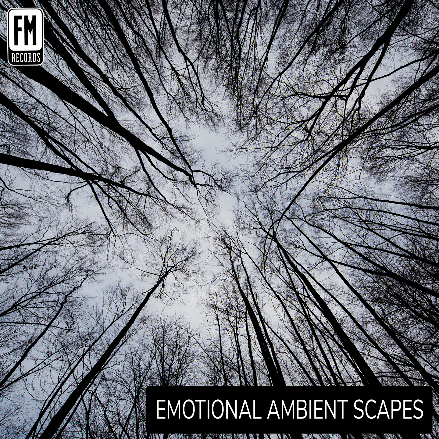 Emotional Ambient Scapes