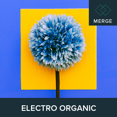 Electro Organic