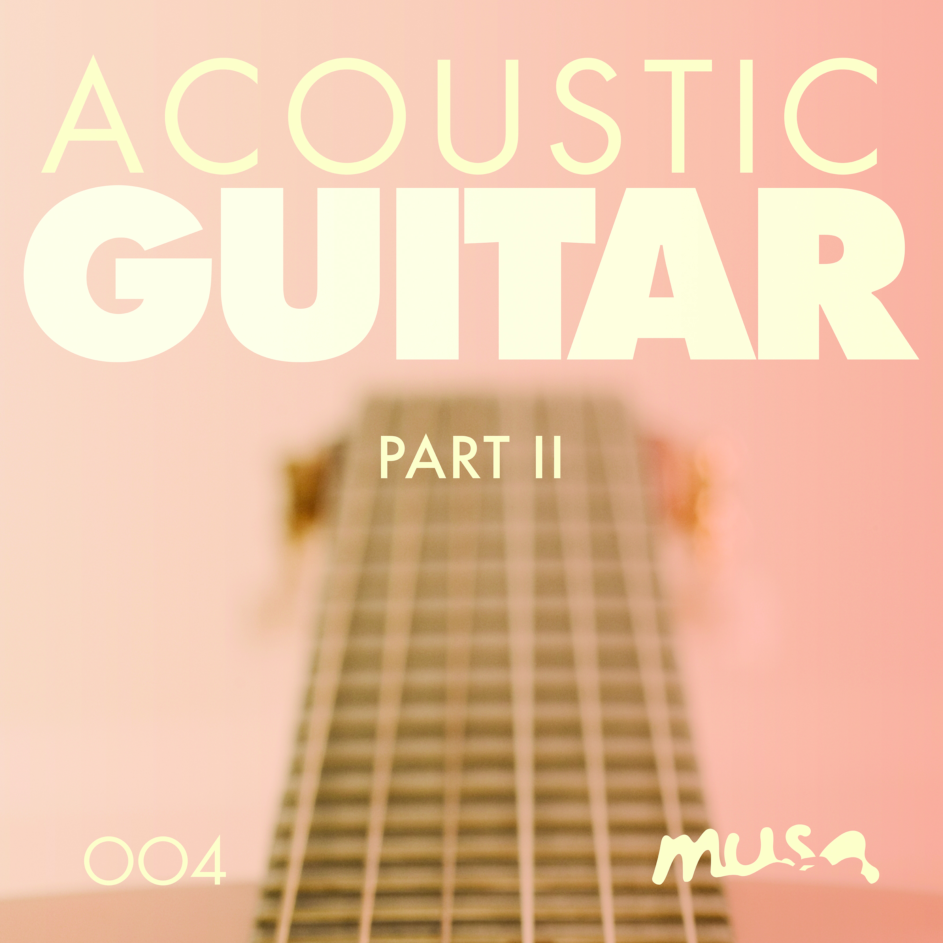 Acoustic Guitar II