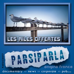 Lesailesoffertes-Documentary-News-Corporate