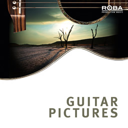 Guitar Pictures