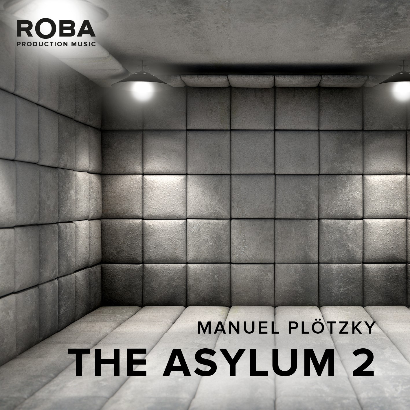 The Asylum 2
