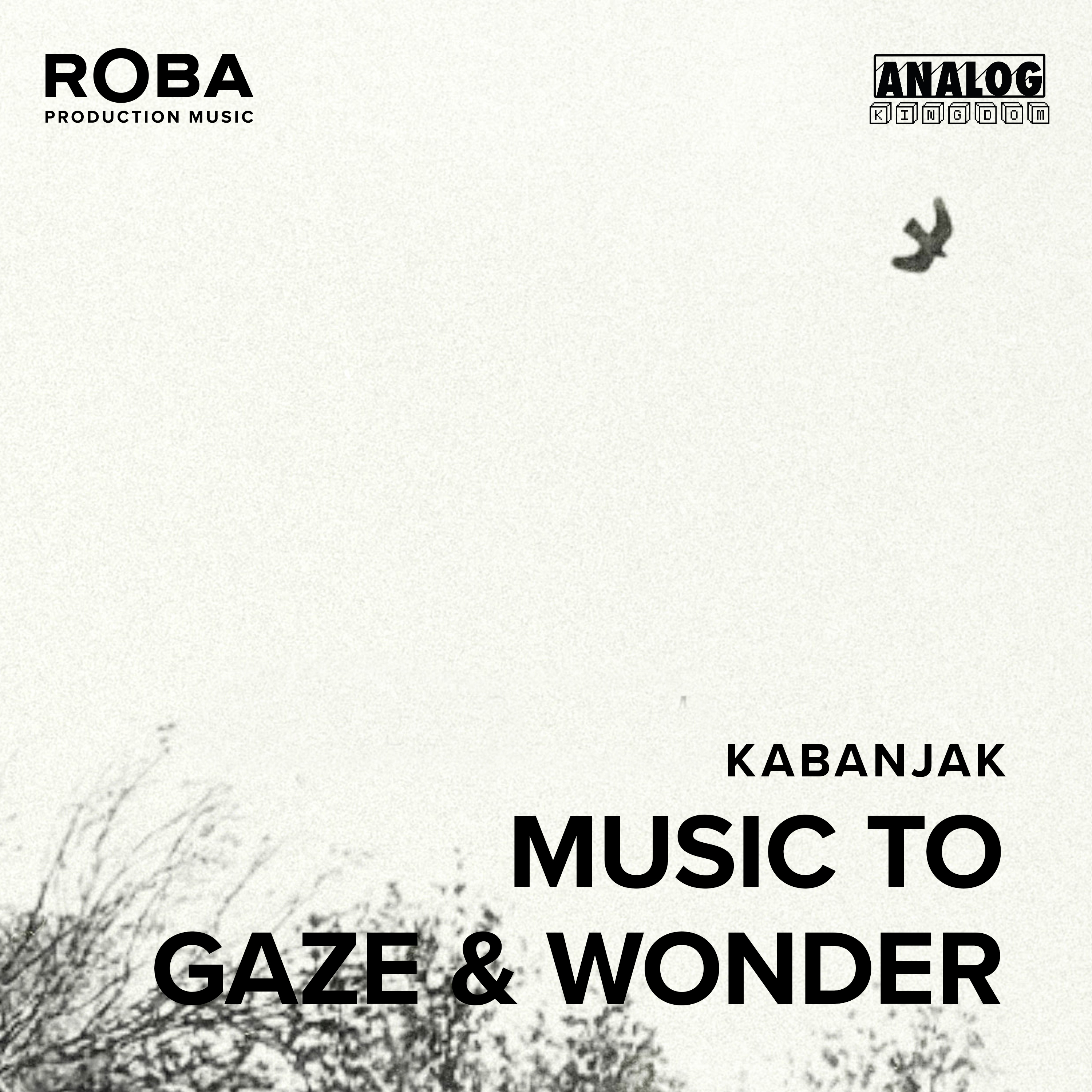 Music To Gaze & Wonder