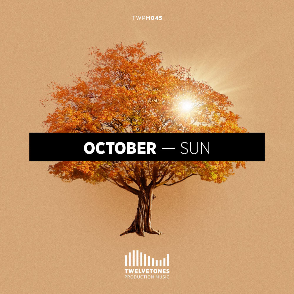 October Sun - Acoustic Textures