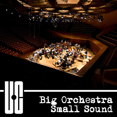 Big Orchestra Small Sound
