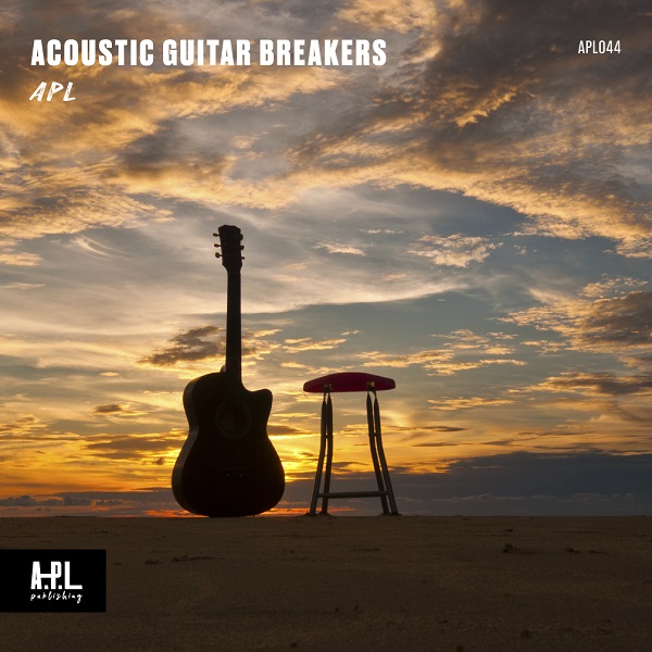 Acoustic Guitar Breakers