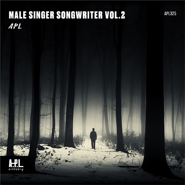 Male Singer Songwriter Vol.2