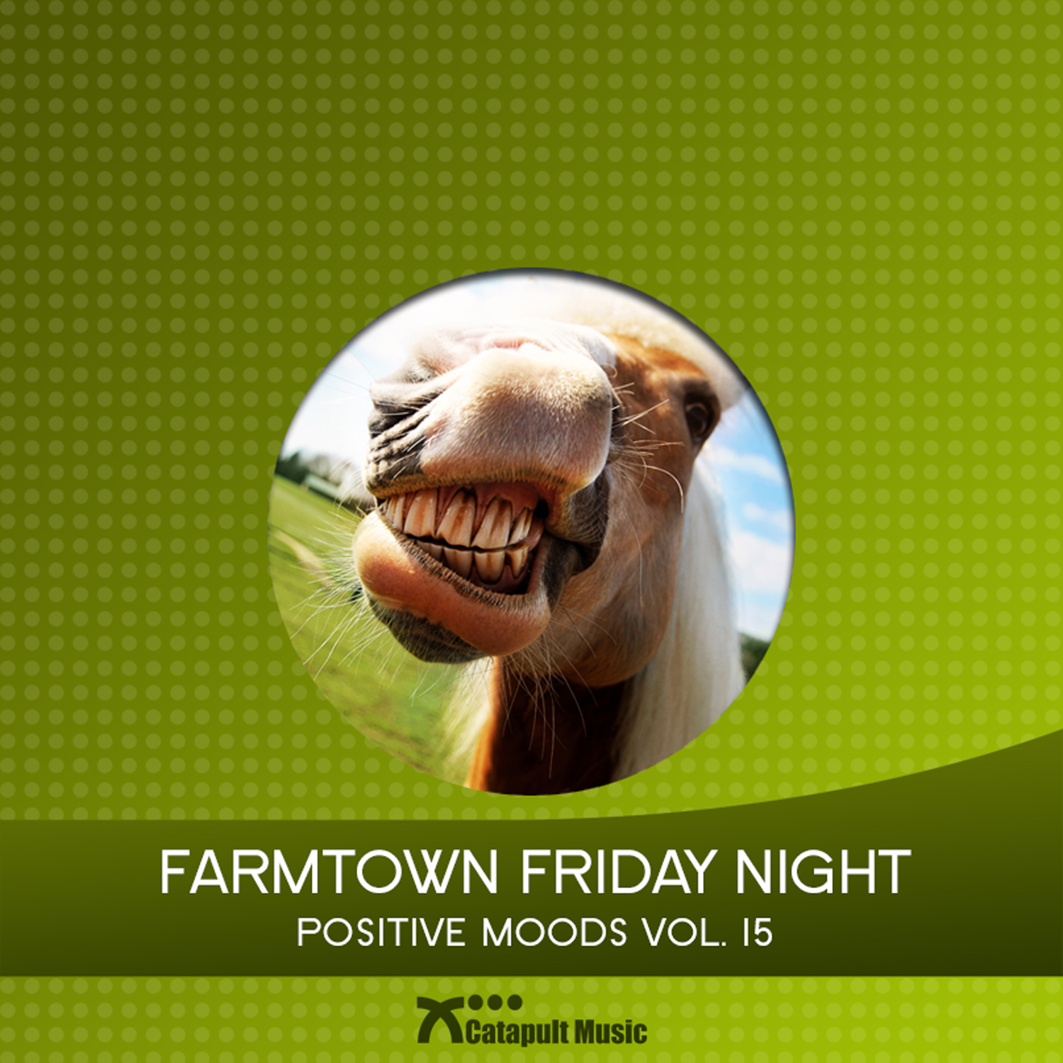 Farmtown Friday Night