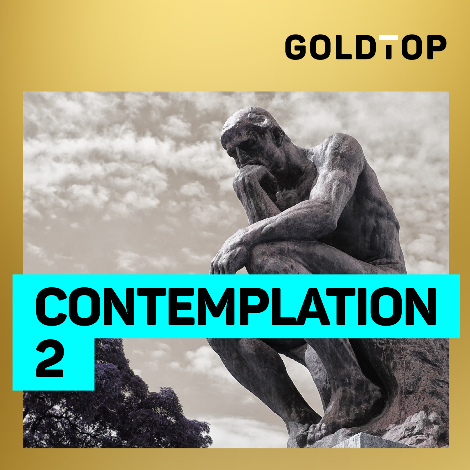 Contemplation 2
