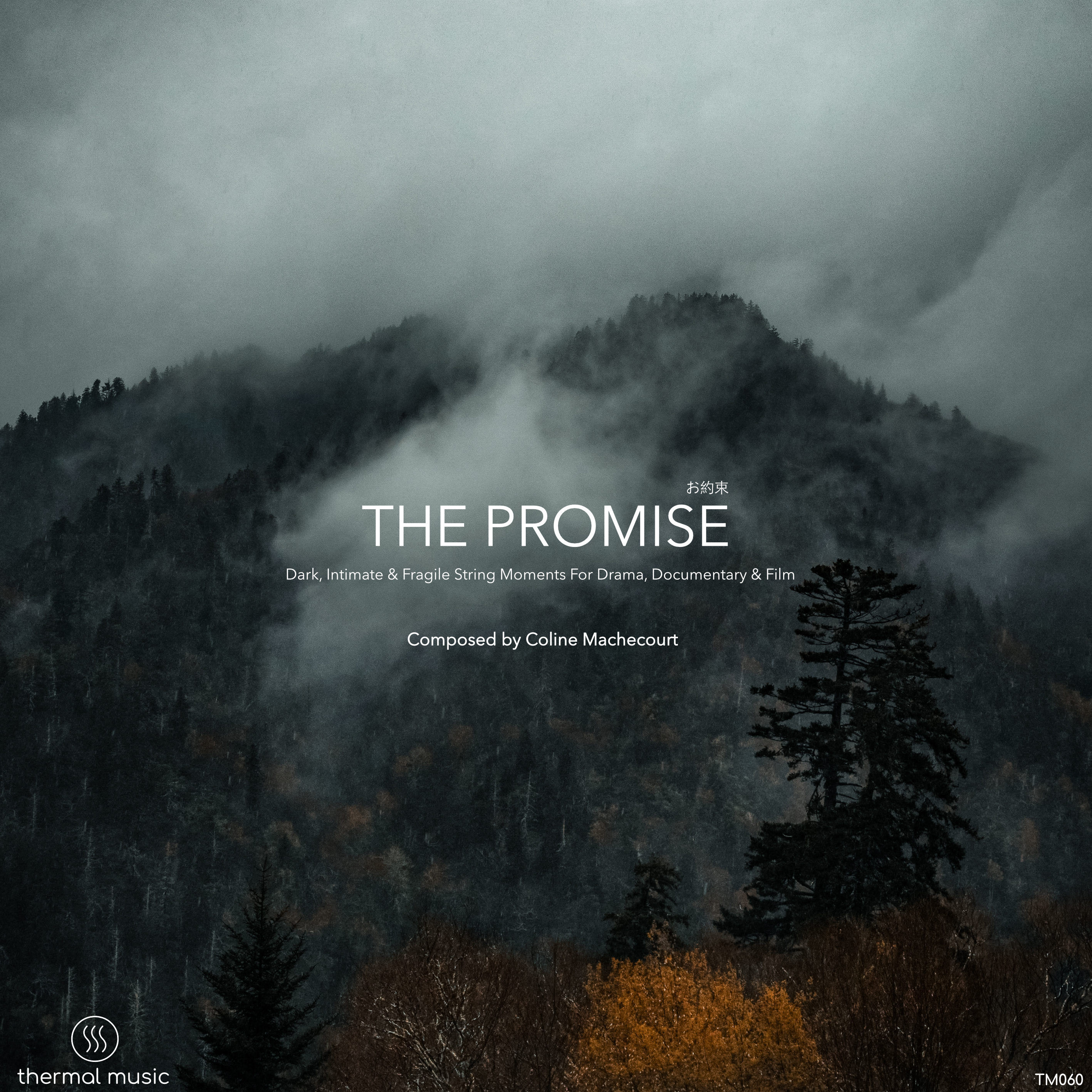 The Promise