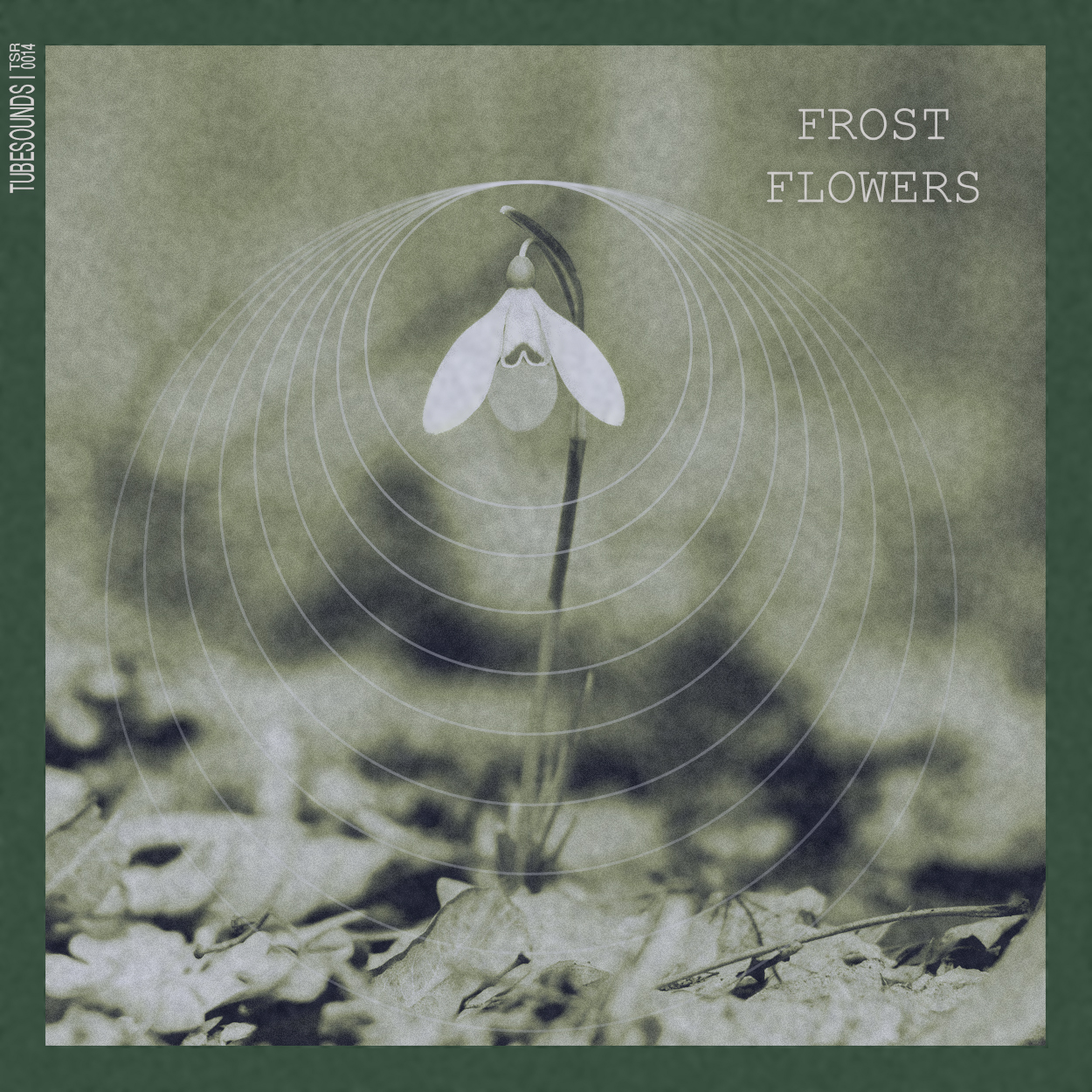 Frost Flowers